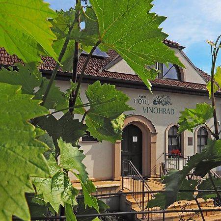 Hotel Vinohrad Milotice المظهر الخارجي الصورة