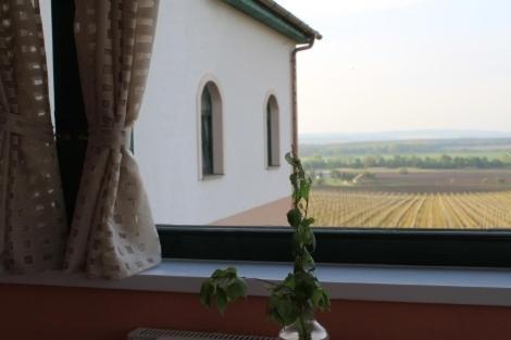 Hotel Vinohrad Milotice المظهر الخارجي الصورة