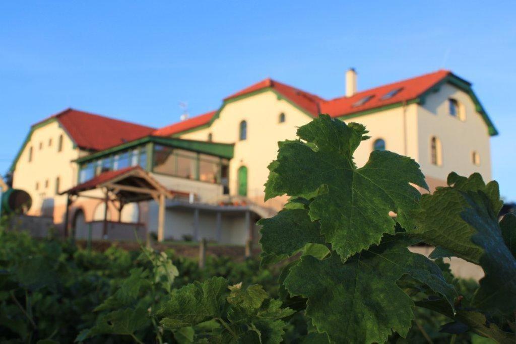 Hotel Vinohrad Milotice المظهر الخارجي الصورة