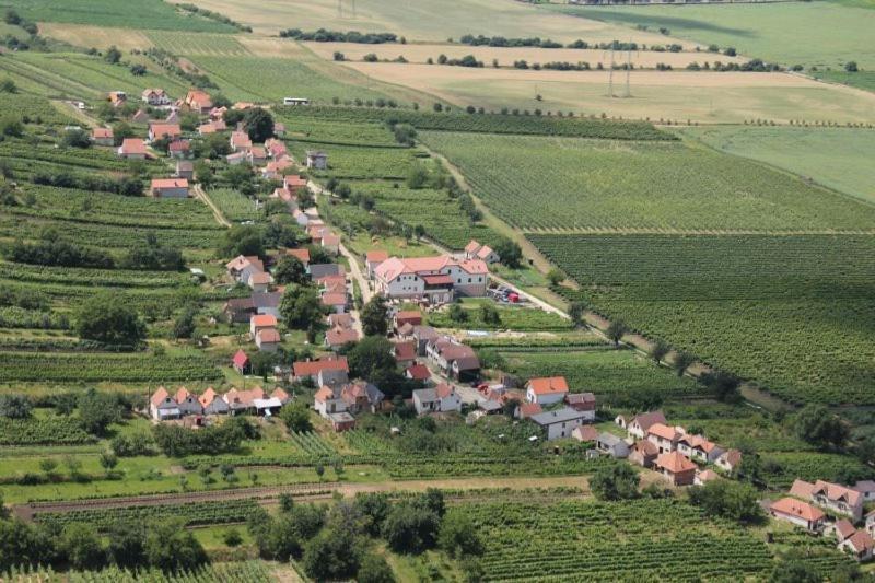 Hotel Vinohrad Milotice المظهر الخارجي الصورة
