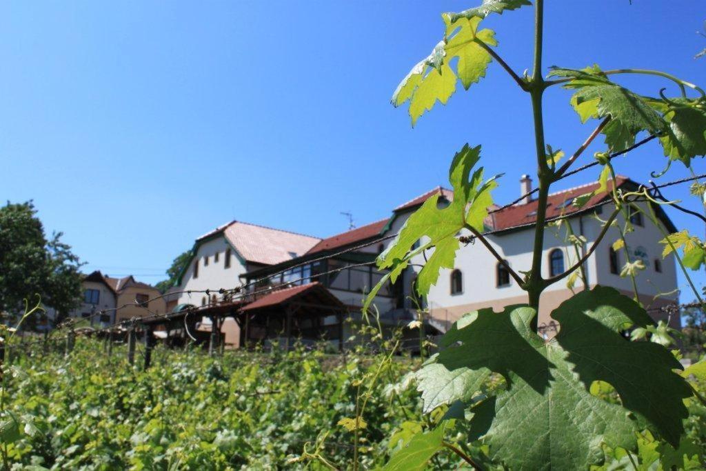 Hotel Vinohrad Milotice المظهر الخارجي الصورة